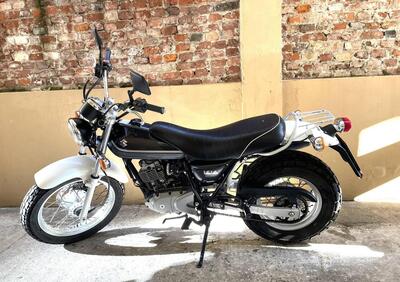 Suzuki Van Van RV 125 (2006 - 17) - Annuncio 9703629