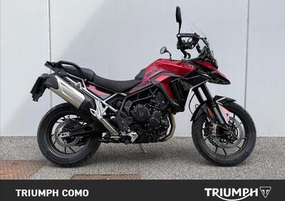 Triumph Tiger 900 GT Pro (2024 - 25) - Annuncio 9705608