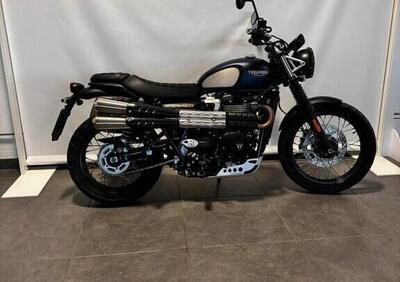 Triumph Street Scrambler 900 Gold Line Edition (2021 - 23) - Annuncio 9707283