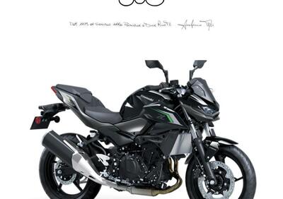 Kawasaki Z 500 (2024 - 25) - Annuncio 9690472