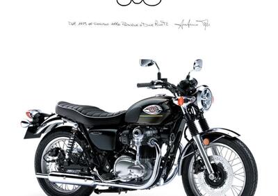 Kawasaki W 800 (2021 - 25) - Annuncio 9545675