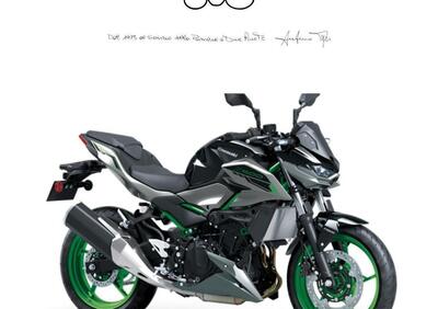 Kawasaki Z 500 SE (2024 - 25) - Annuncio 9690473