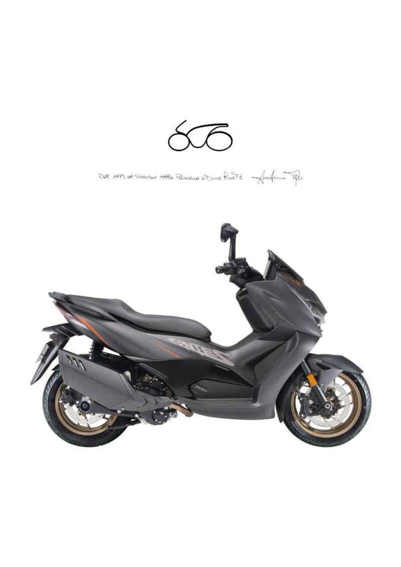 Zontes ZT368-D (2025 - 26)