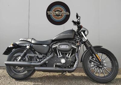 Harley-Davidson 883 Iron (2009 - 11) - XL 883N - Annuncio 9710637