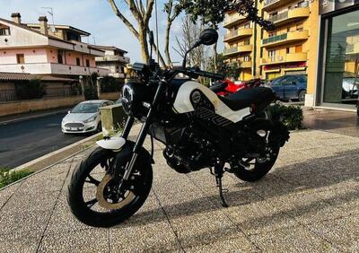 Benelli Leoncino 125 (2022 - 25) - Annuncio 9711296