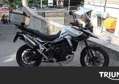 Triumph Tiger 900 GT Pro (2024 - 25) - Annuncio 9695864