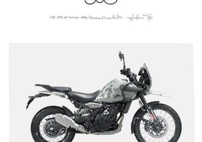 Royal Enfield Himalayan 450 (2024 - 25) - Annuncio 9560790