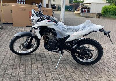 Betamotor Alp 4.0 (2024 - 25) - Annuncio 9712861