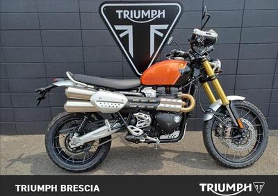 Triumph Scrambler 1200 XE (2024 - 25) - Annuncio 9714663