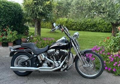 Harley-Davidson 1450 Springer (2001 - 03) - FXSTS - Annuncio 9707114