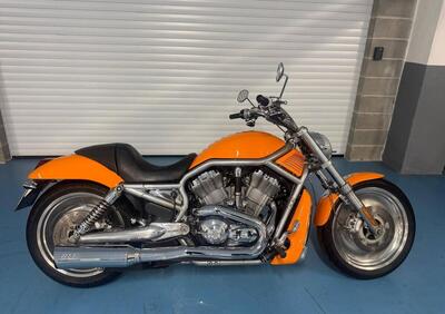 Harley-Davidson 1130 V-Rod (2002 - 05) - VRSCA - Annuncio 9716352