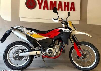 Swm RS 650 R (2017 - 18) - Annuncio 9716903