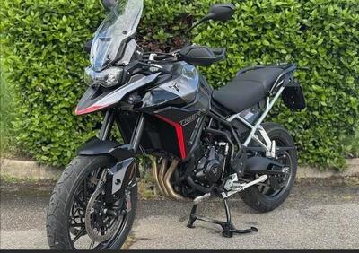 Triumph Tiger 900 GT Pro (2024 - 25) - Annuncio 9717207