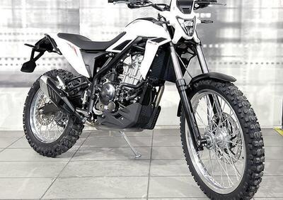 Betamotor Alp 4.0 (2024 - 25) - Annuncio 9681613