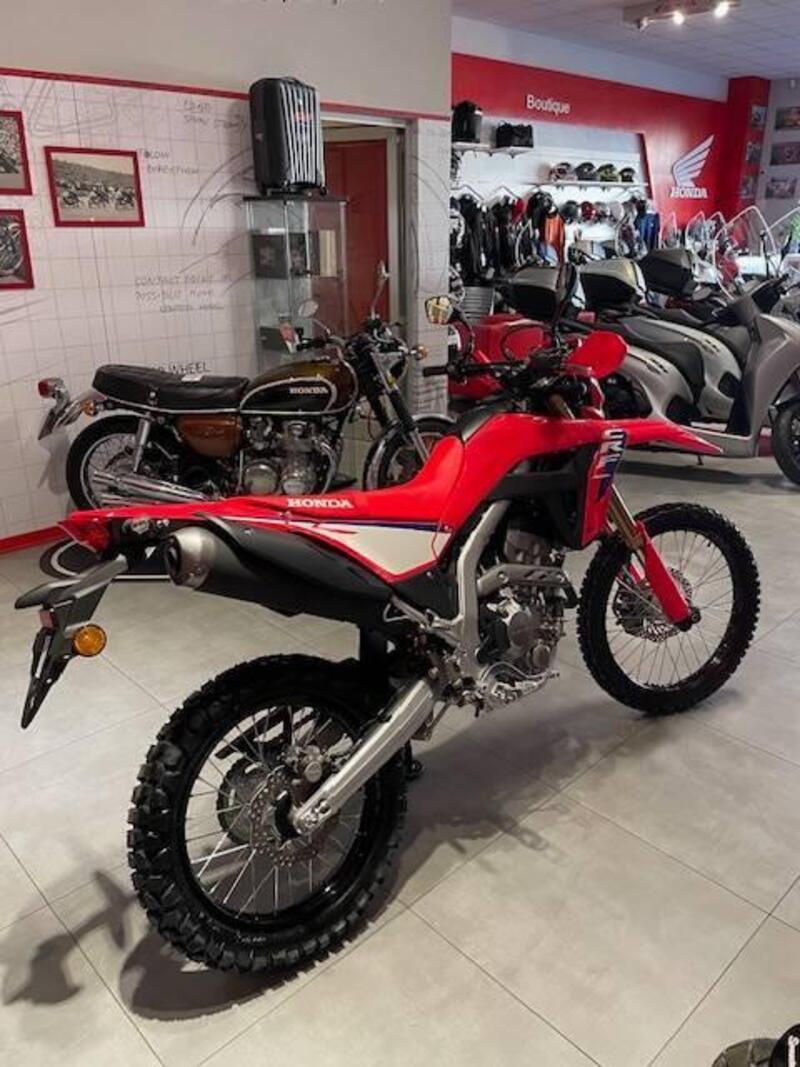 Honda CRF 300L (2025 - 26) (5)