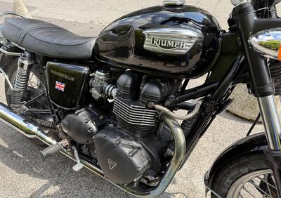 Triumph Bonneville 800 (2002 - 07) - Annuncio 9694432