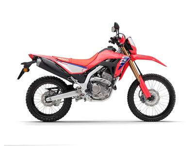 Honda CRF 300L (2025 - 26) nuova