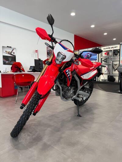 Honda CRF 300L (2025 - 26) nuova