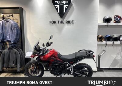 Triumph Tiger 900 GT (2024 - 25) - Annuncio 9444954
