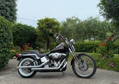 Harley-Davidson 1450 Springer (2001 - 03) - FXSTS - Annuncio 9662289