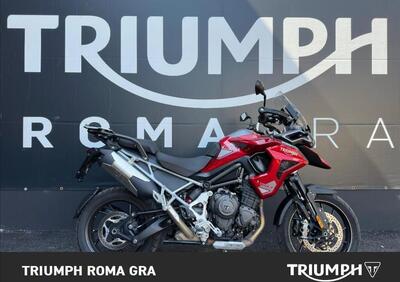 Triumph Tiger 1200 GT Pro (2024 - 25) - Annuncio 9728790