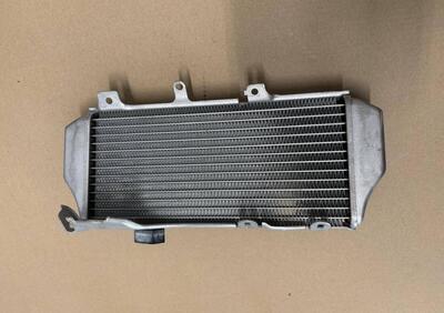 RADIATORE SINISTRO HONCA CRF 450 R/RX 2017-2020 Honda - Annuncio 9728876