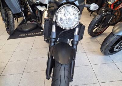 Suzuki SV650 (2021 - 24) - Annuncio 9721802