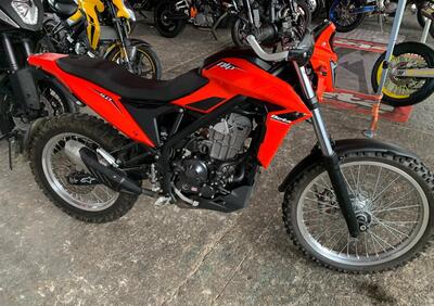 Betamotor Alp 4.0 (2024 - 25) - Annuncio 9730680