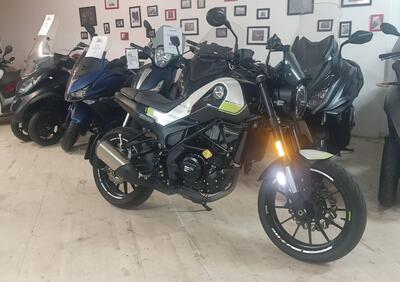 Benelli Leoncino 250 (2019 - 20) - Annuncio 9731202