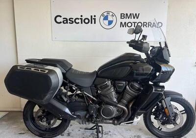 Harley-Davidson Pan America 1250 Special (2020 - 25) - Annuncio 9733443