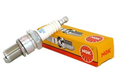 Can - Annuncio 8972481