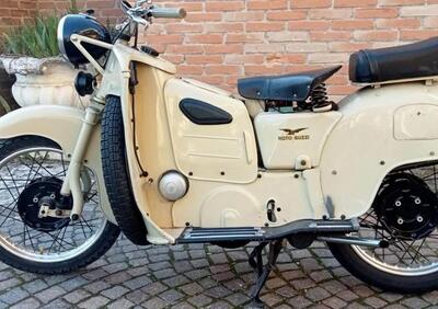 Moto Guzzi Galletto 192 - Annuncio 9742274