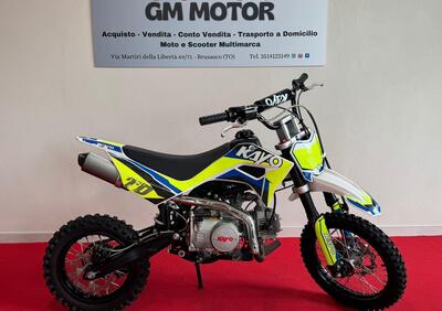  Altre moto o tipologie Minimoto - Annuncio 9743115