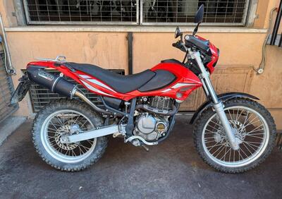 Betamotor Alp 4.0 (2006 - 08) - Annuncio 9746725