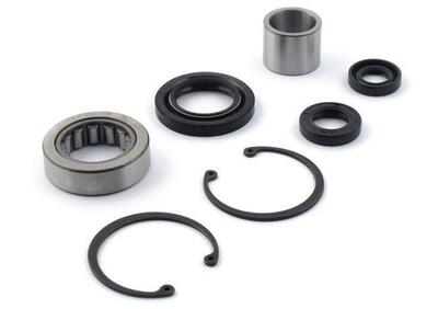 Kit cuscinetto e paraoli carter primaria interno p  - Annuncio 9748499