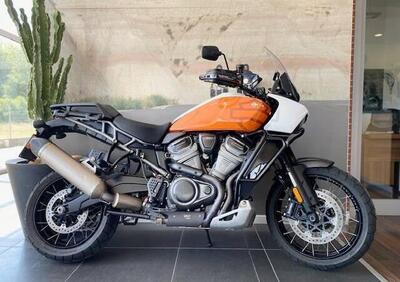 Harley-Davidson Pan America 1250 Special (2020 - 25) - Annuncio 9760117