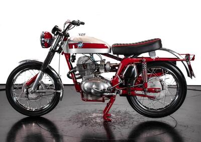 MV Agusta 250 Scrambler - Annuncio 9763973