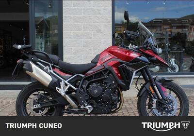 Triumph Tiger 900 GT Pro (2024 - 25) - Annuncio 9637020