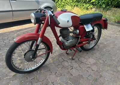 Altre marche Capriolo 75 - Annuncio 9764468