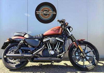 Harley-Davidson 883 Iron (2017 - 20) - XL 883N - Annuncio 9766827