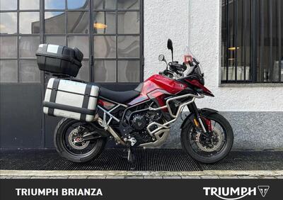 Triumph Tiger 900 GT Pro (2024 - 25) - Annuncio 9766954