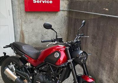 Benelli Leoncino 500 ABS (2017 - 20) - Annuncio 9769019