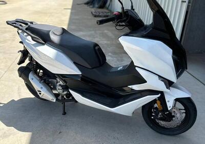 Morbidelli SC300 (2024 - 25) - Annuncio 9771934