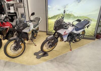 Honda Transalp XL750 (2025) - Annuncio 9771953