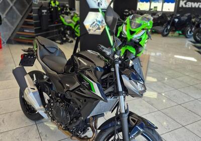 Kawasaki Z 500 (2024 - 25) - Annuncio 9774280