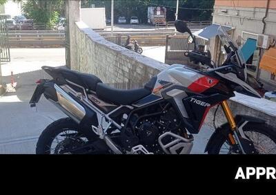 Triumph Tiger 900 Rally Pro (2024 - 25) - Annuncio 9775123