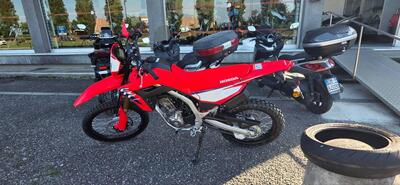 Honda CRF 300L (2025 - 26) nuova