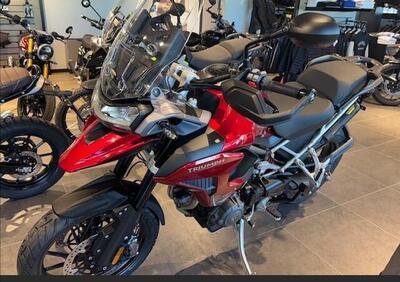 Triumph Tiger 1200 GT Pro (2024 - 25) - Annuncio 9775729