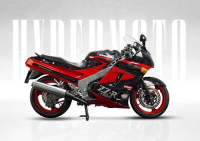 Kawasaki ZZR 1100 (1989 - 01) - Annuncio 9776132