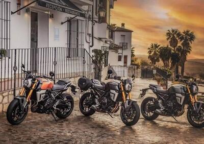 Suzuki GSX-8T (2025) - Annuncio 9777889